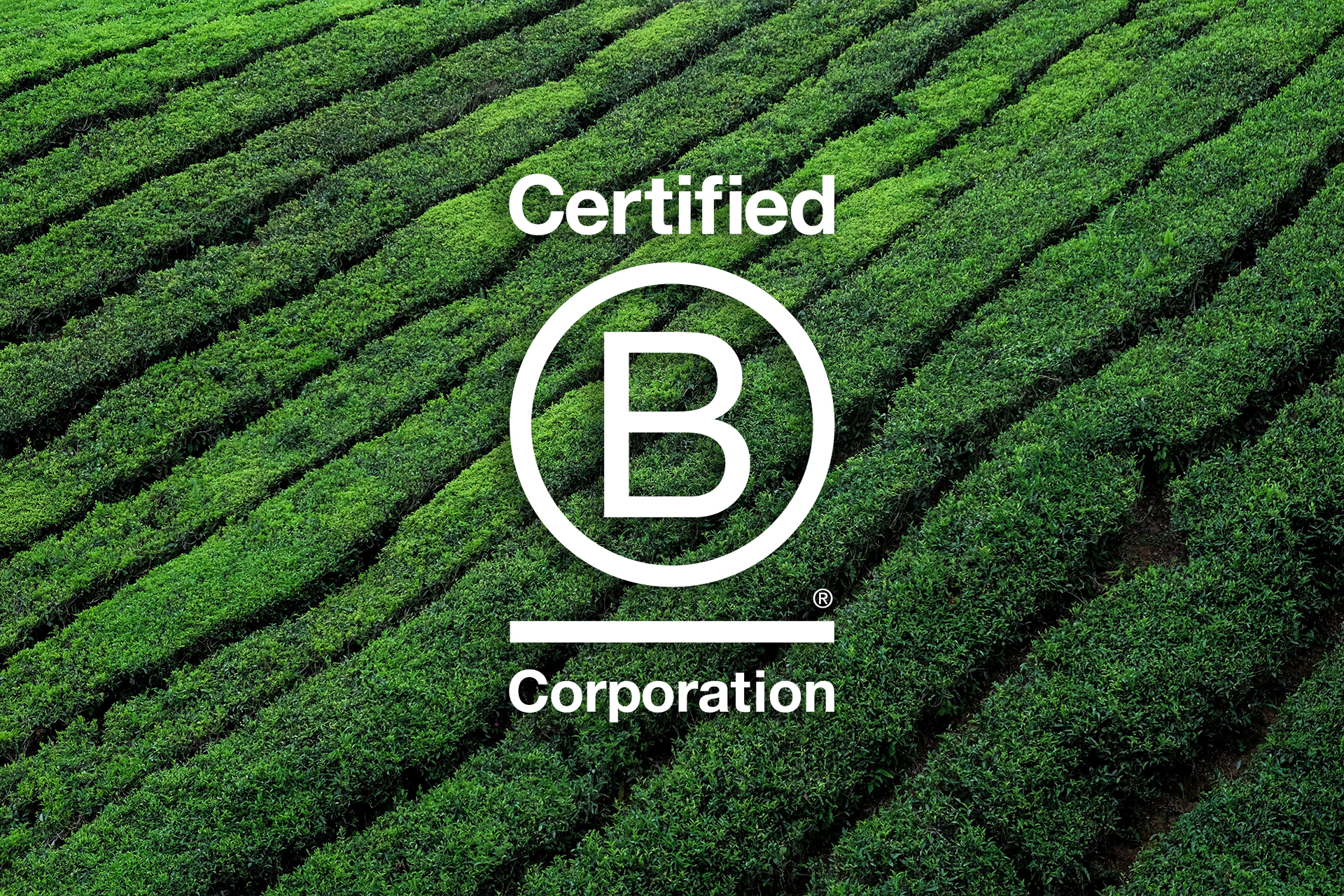B Corp Certified Banner