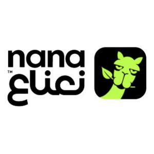 how much is nana net worth