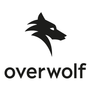 Overwolf Company Profile, Investors, & Funding | Lucidity Insights